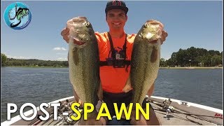 4 Proven Post-Spawn Patterns for Largemouth Bass