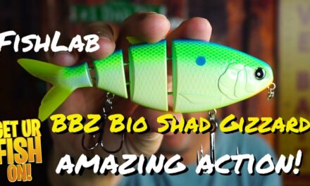 AMAZING ACTION: Fishlab BBZ Bio Shad Gizzard Bass Fishing Swimbait