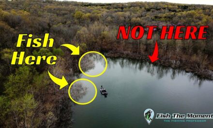 Avoid This Common Jig Fishing Mistake In the Spring