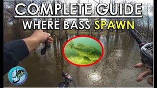 Best Areas for Spawning Bass | Spawn Bass Fishing Tips for Spring