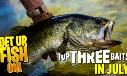 Best BASS FISHING Baits to Use in June – 2023