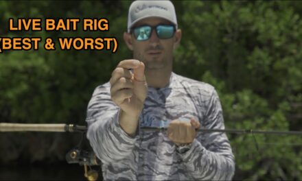 Salt Strong | – Best Overall Live Bait Rig (Plus AVOID This Pre-Tied Rig At All Costs)!