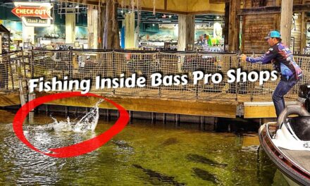 Scott Martin Pro Tips – Caught a Bass Inside Bass Pro Shops Pyramid (Ft. Bill Dance)