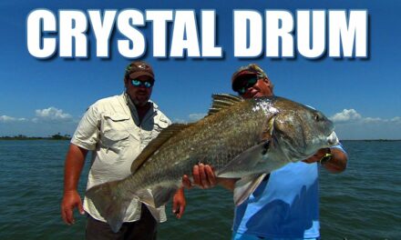 Crystal River Florida Black Drum Fishing with Billy Henderson