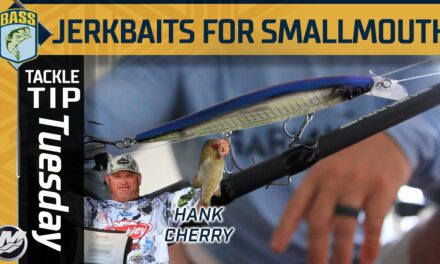 Bassmaster – How Hank Cherry switches up his jerkbait approach for smallmouth fishing