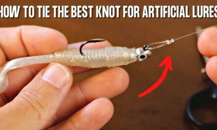 Salt Strong | – How To Tie The #1 Fishing Knot For Artificial Lures