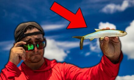Lawson Lindsey – Is This Expensive Giant Ladyfish Fishing Lure Worth the Money?