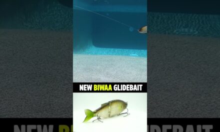 New BIWAA Glidebait Bass Fishing Lure from iCast 2023 #shorts
