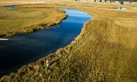 Oregon Spring Creek Fishing – *Yamsi Trailer* by Todd Moen