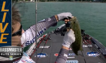 Bassmaster – ST. CLAIR: Pipkens gets one of the right ones