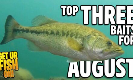 THREE Bass Fishing Lures for August to Catch Giant Large Mouth – 2023