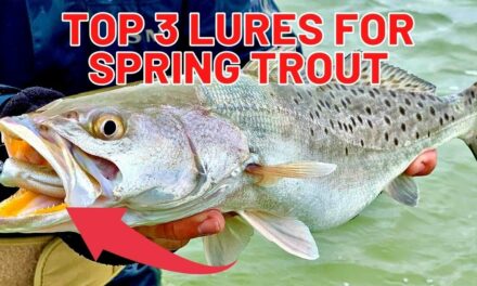 Salt Strong | – Top 3 Spring Lures For Speckled Trout [Plus A BONUS Secret Lure]