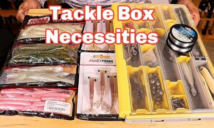 Salt Strong | – What To Bring In Your Tackle Box (Inshore Fishing 101)
