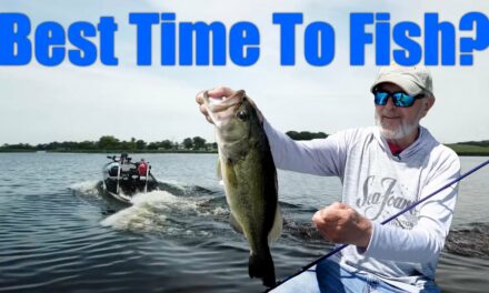 When Is The Best Time To Fish?