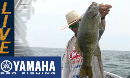 Bassmaster – Yamaha Clip of the Day: Cifuentes mid-day flurry into unofficial lead