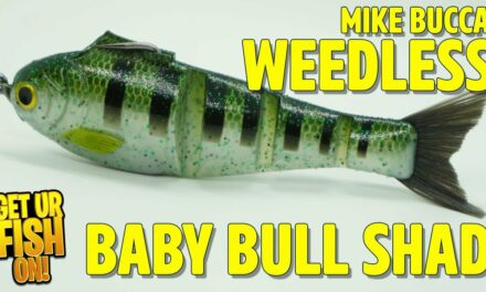 BETTER THAN THE OG? Mike Bucca WEEDLESS Baby Bull Shad Bass Fishing Swimbait
