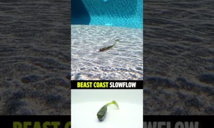 Beast Coast Slowflow Bass Fishing Soft Plastic Swim Bait #shorts