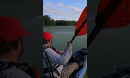 FlukeMaster – Beyond the Beaten Waters: Exploring Uncharted Horizons in a kayak