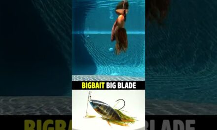 BigBait Big Blade Bass Fishing Spinnerbait #shorts #bassfishing #fishing