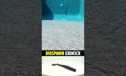 BioSpawn ExoKick Bass Fishing Worm #shorts #fishing #bassfishing
