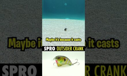 FIRST LOOK: Spro Outsider Crank Bass Fishing Crankbait #short #fishing
