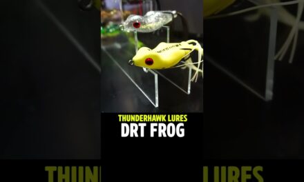FIRST LOOK at the Thunderhawk Lures DRT Topwater Bass Fishing Frog #shorts