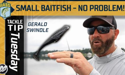 Bassmaster – How Gerald Swindle targets bass that head shallow in September