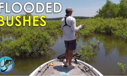 How to Fish Flooded Bushes for Summer Bass