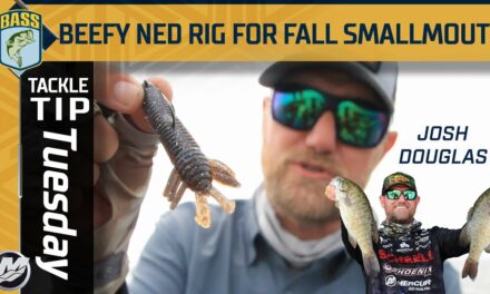 Bassmaster – Key features of a Ned Rig to catch big smallmouth