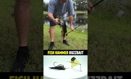 LEGIT? OR BEEP? Fish Hammer Wicked Single Buzzbait #shorts #bassfishing #fishing