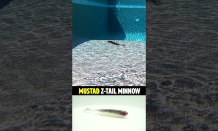 Mustad Z-Tail Soft Plastic Minnow Swimbait #shorts