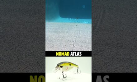 Nomad Atlas Bass Fishing Squarebill Crankbait #shorts #fishing #bassfishing