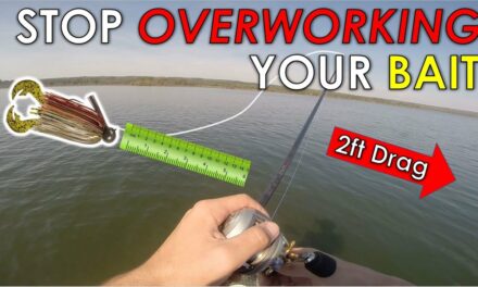 Testing How Far Baits Move Underwater | Bass Fishing Lure Underwater Footage and Retrieve Tips