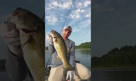 This NEW Technique Is Underrated #coretackle #bassfishing #fishinglures