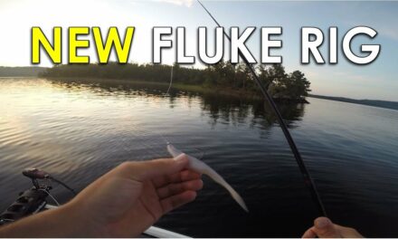 Where to Find Schooling Bass + New Fluke Rig From Forrest Wood Cup