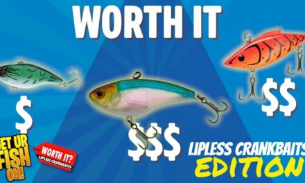 Which one is WORTH IT? Lipless Bass Fishing Crankbaits Edition