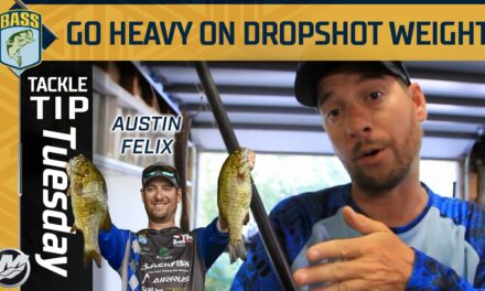 Bassmaster – Be efficient with a heavier dropshot weight