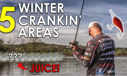 Best Winter Bass Fishing Areas for Crankbaits
