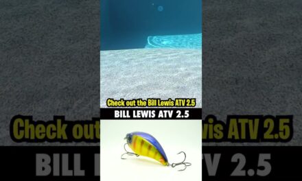 Bill Lewis ATV 2 5 Bass Fishing Squarebill Crankbait #shorts #bassfishing #bass