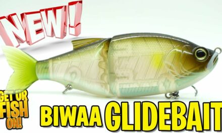 Biwaa Bass Fishing Glidebait for GIANT LARGE MOUTH BASS