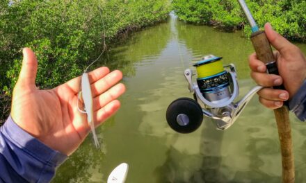 Lawson Lindsey – Catching Fish in Secret Saltwater Ponds and on the Flats