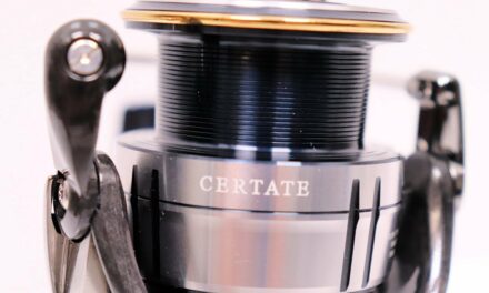 Salt Strong | – Daiwa Certate LT Reel Review (Is This Worth The Cost?)