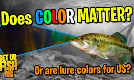 Does COLOR Matter in Bass FISHING LURES?