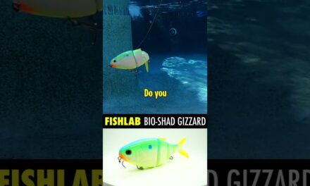 Fishlab Bio-Shad Gizzard: 1st Look Bass Fishing Slow Sinking Swimbait #shorts