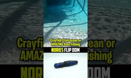 INSANE Crustacean Crayfish Lure that Bass Are Obsessed With #shorts