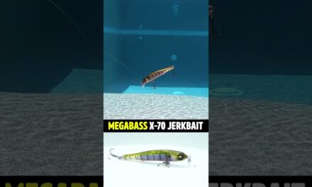 Is the Megabass X-70 Bass Fishing Jerkbait LEGIT or BEEP! #shorts