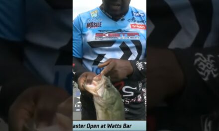 Bassmaster – Ish Monroe catching them on topwater at Watts Bar