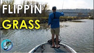 Late Pre-Spawn Fishing for River Bass | Bass Fishing Patterns