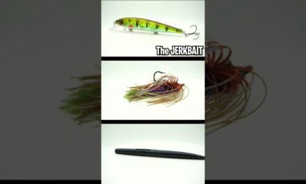 Master These THREE Bass Fishing Lures To Catch GIANT BASS #shorts
