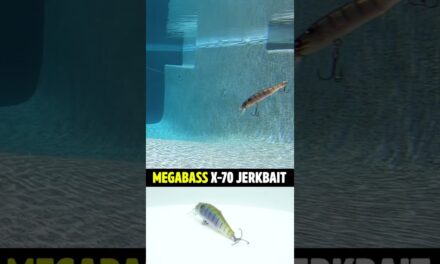 Megabass X-70 Bass Fishing Jerkbait #shorts